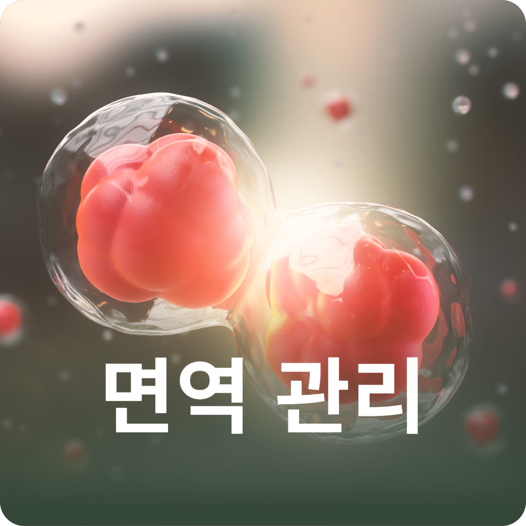 면역 관리